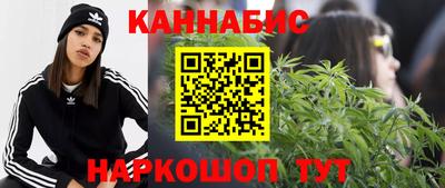 шишки Изобильный