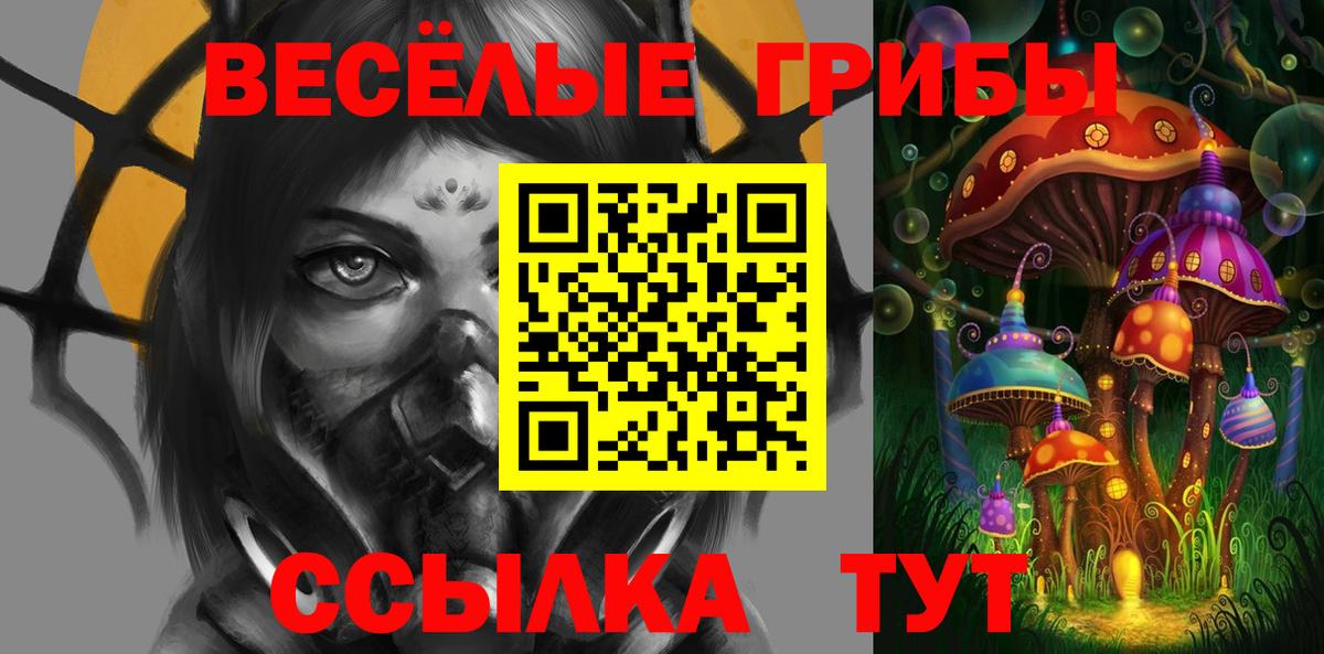 Галлюциногенные грибы MAGIC MUSHROOMS Курчатов